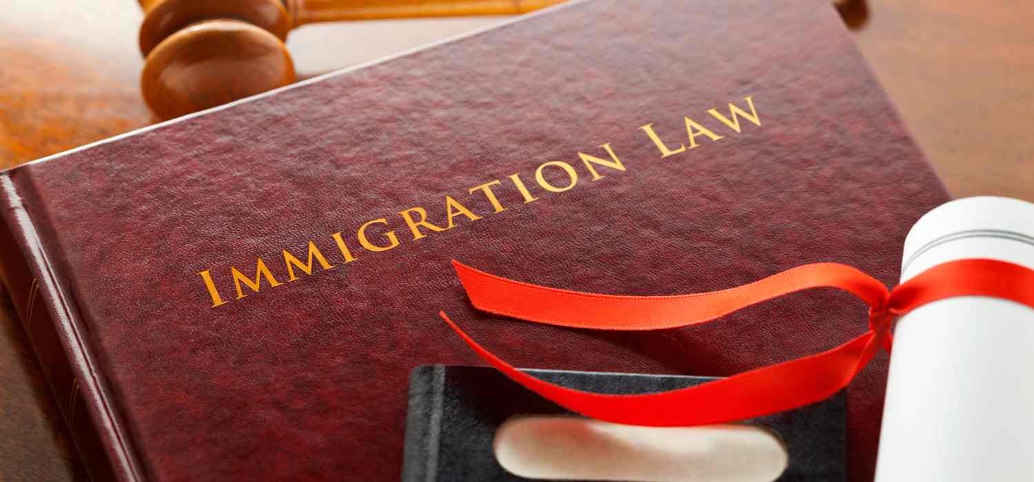 Court Representation for Immigration Offenses Court Representation for Immigration Offenses