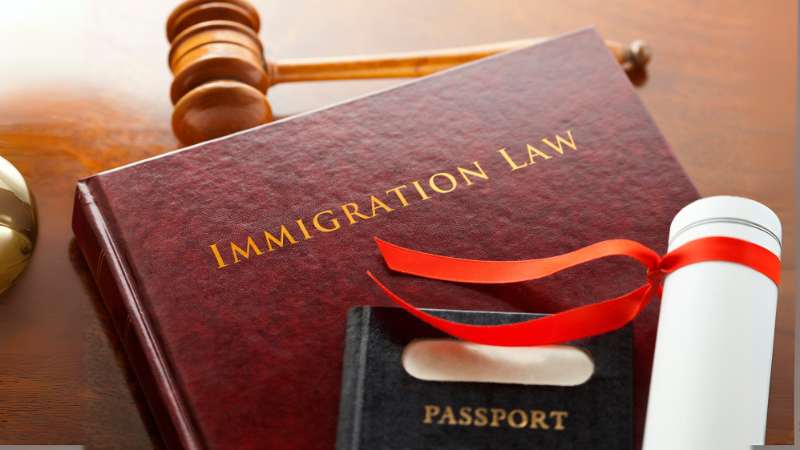 Immigration Attorneys